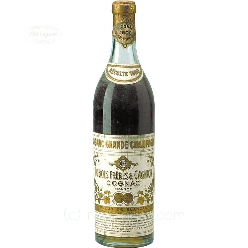 Cognac 1900 Dubois res Cagnion SKU 4216