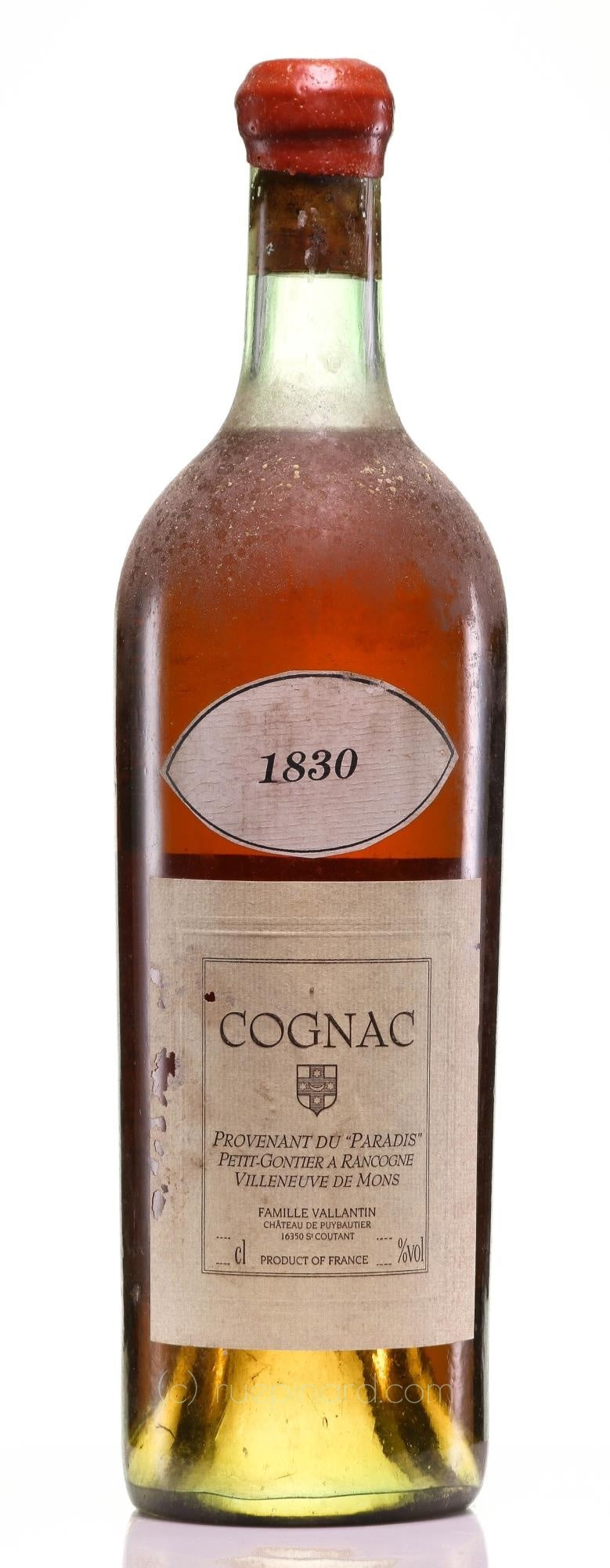 Château de Puybautier 1830 Cognac Petit-Gontier a Rancogne - Rue Pinard